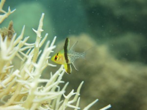 IMG_0168