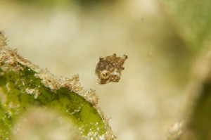 IMG_0698