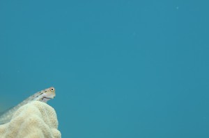 IMG_0832