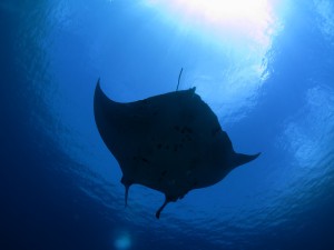IMG_1027