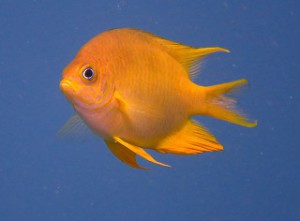 IMG_1319