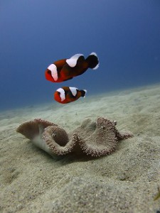 IMG_3216