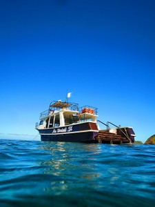 IMG_3484