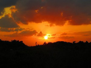 IMG_3580