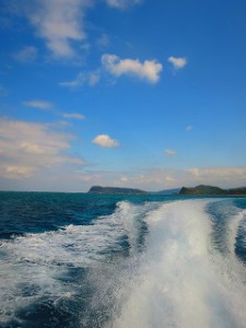 IMG_3727