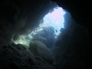 IMG_3734