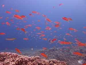 IMG_3802