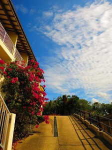 IMG_3894