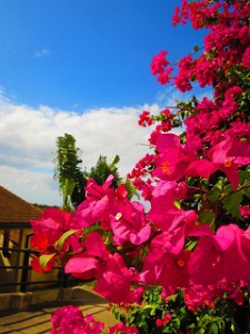 IMG_3897