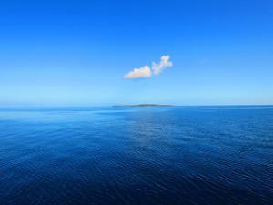 IMG_3919
