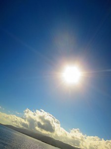 IMG_3925