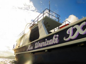 IMG_4104
