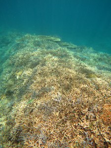 IMG_4125