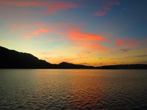 IMG_4211