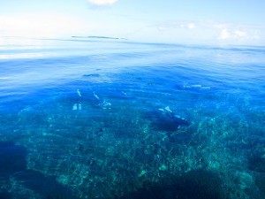 IMG_5567