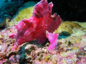 IMG_8507