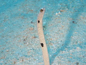 IMG_9175
