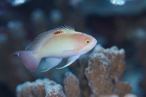 IMG_9955
