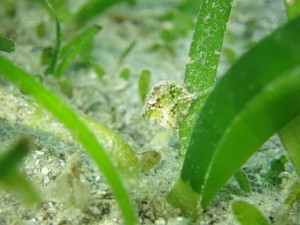 s-IMG_0002