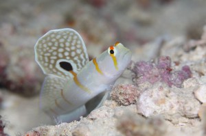 s-IMG_0056