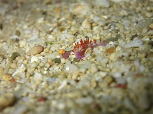 s-IMG_0095