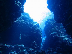 s-IMG_0098