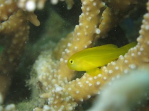 s-IMG_0203