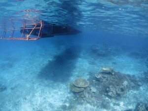s-IMG_0289
