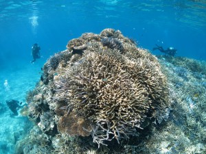 s-IMG_0303