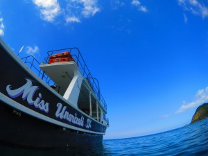 s-IMG_0337