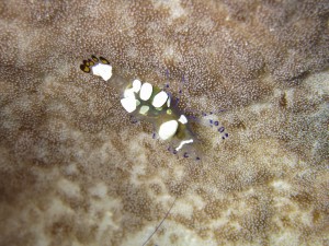s-IMG_0345