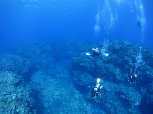 s-IMG_0461