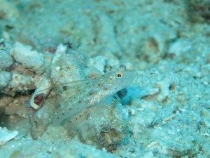 s-IMG_0492