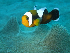 s-IMG_0572