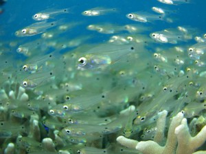 s-IMG_0630