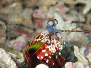 s-IMG_0642