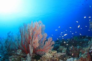 s-IMG_0675