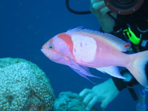 s-IMG_0688