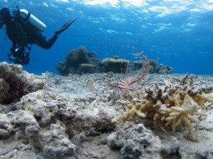 s-IMG_0731