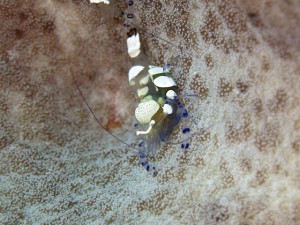 s-IMG_0755