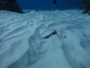 s-IMG_0758
