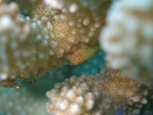 s-IMG_0762