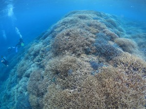 s-IMG_0796