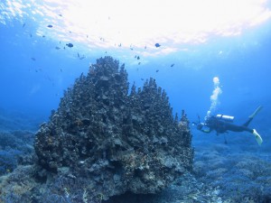 s-IMG_0802