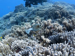 s-IMG_0824