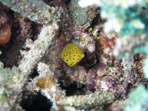 s-IMG_0846