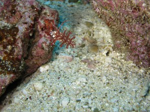 s-IMG_1076