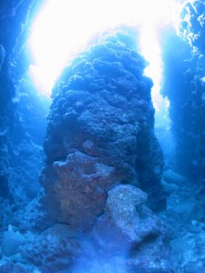s-IMG_1079