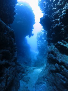 s-IMG_1081