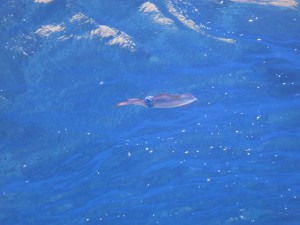 s-IMG_1089